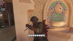 三角洲内部辅助卡盟功能性让游戏体验更上一层楼